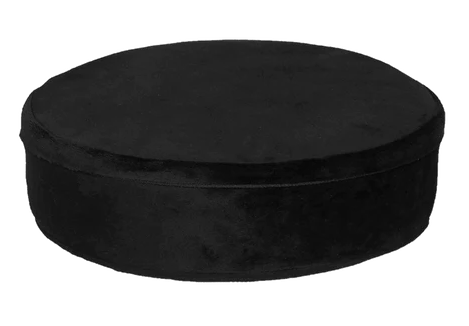 Hockey Puck Buddy